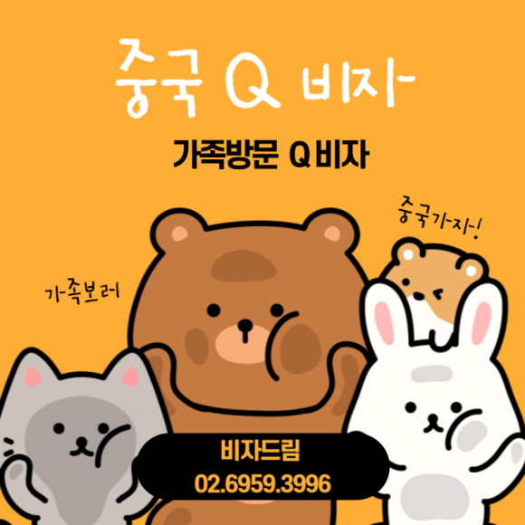 비자드림 이미지