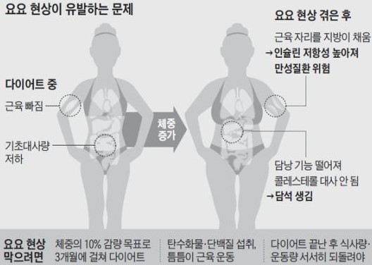 코코아짐 이미지