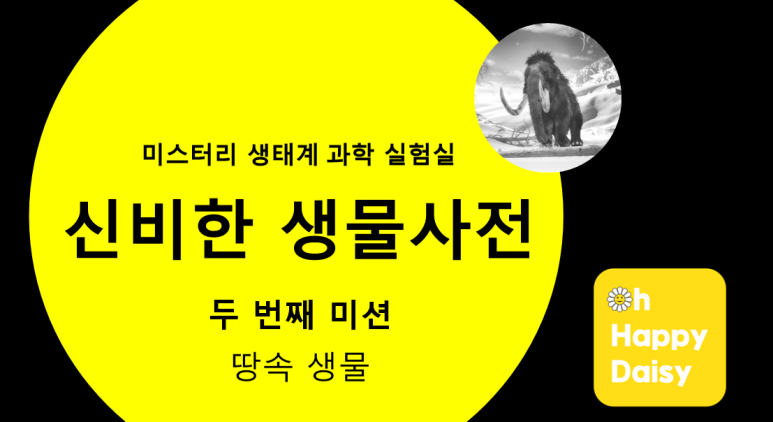 오해피데이지 이미지