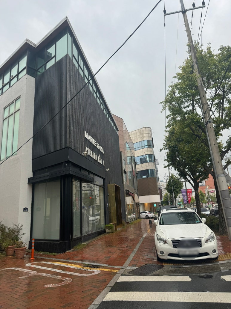 마리스포사앤아뜰리에레이나 이미지