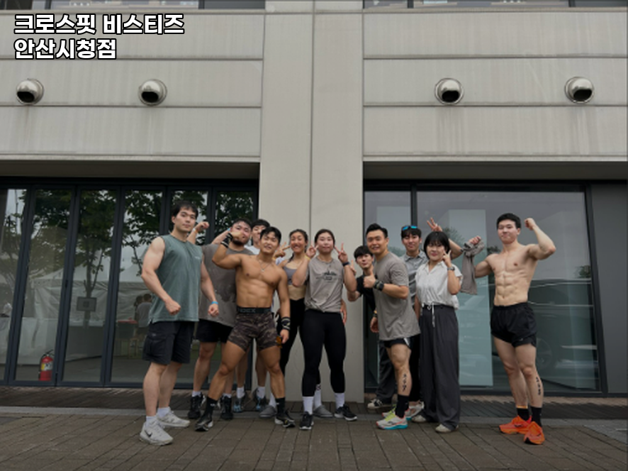 비스티즈 이미지