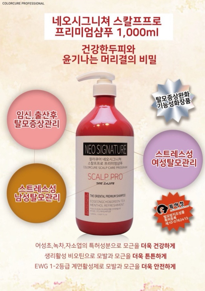 스파커치 이미지