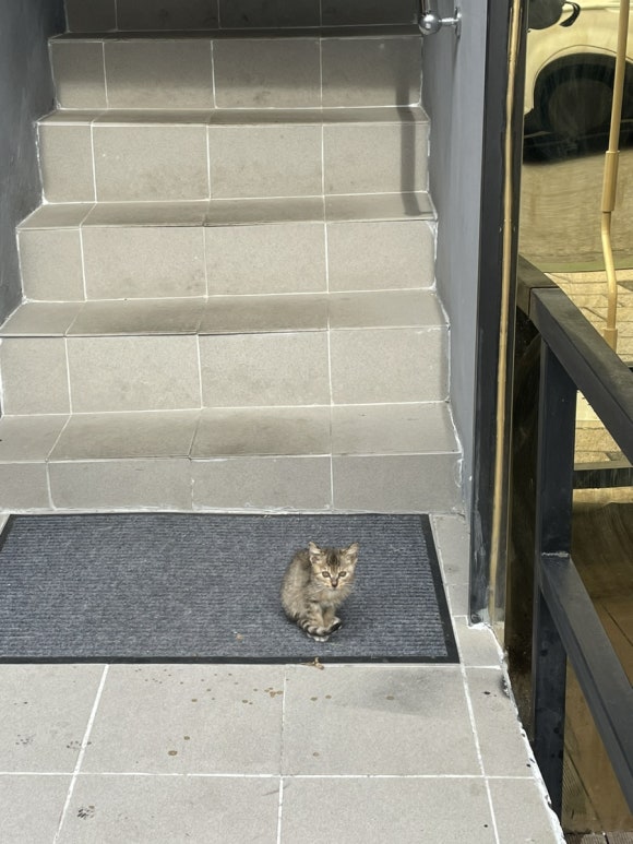 소백산국립공원 삼가천동코스 이미지