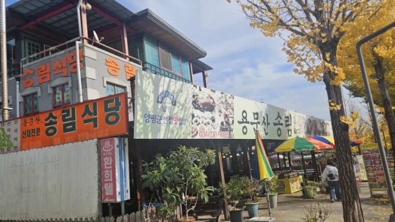 송림대중 이미지