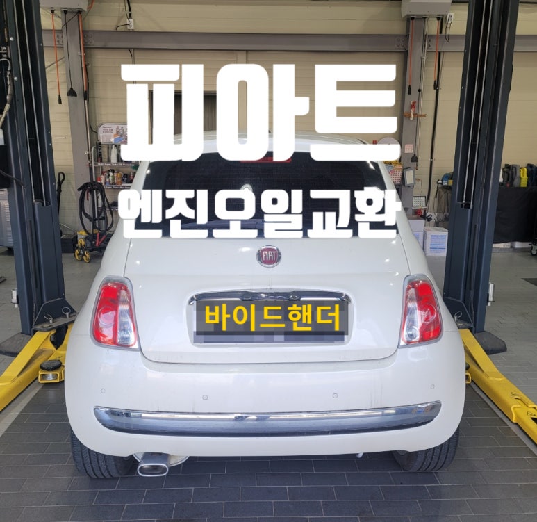 바이드핸더 이미지