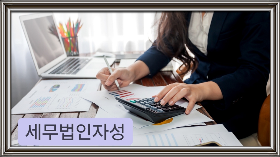 세무회계자성 이미지
