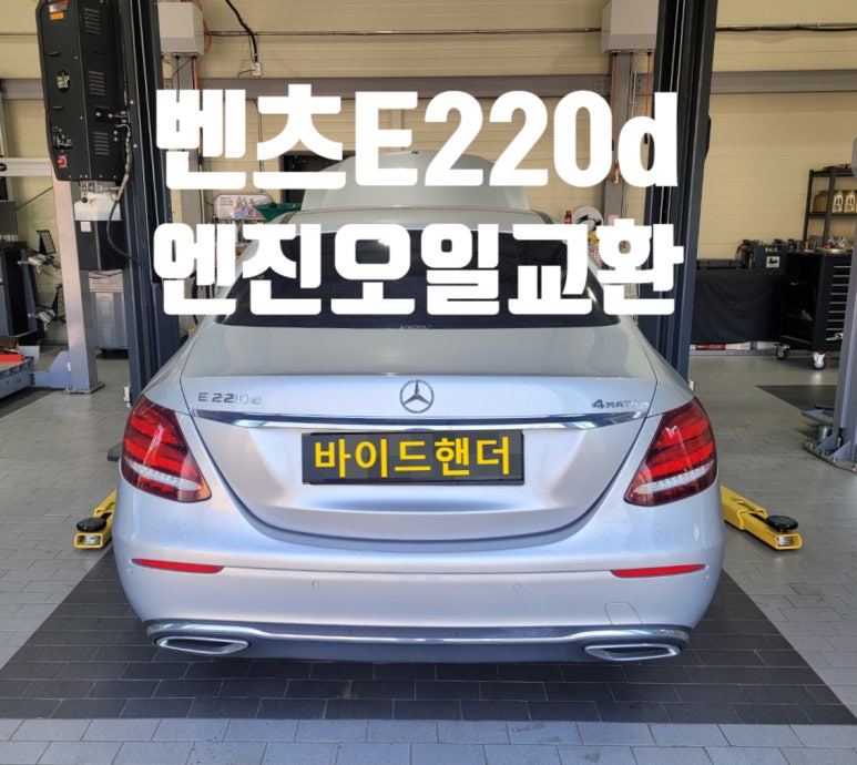 바이드핸더 이미지