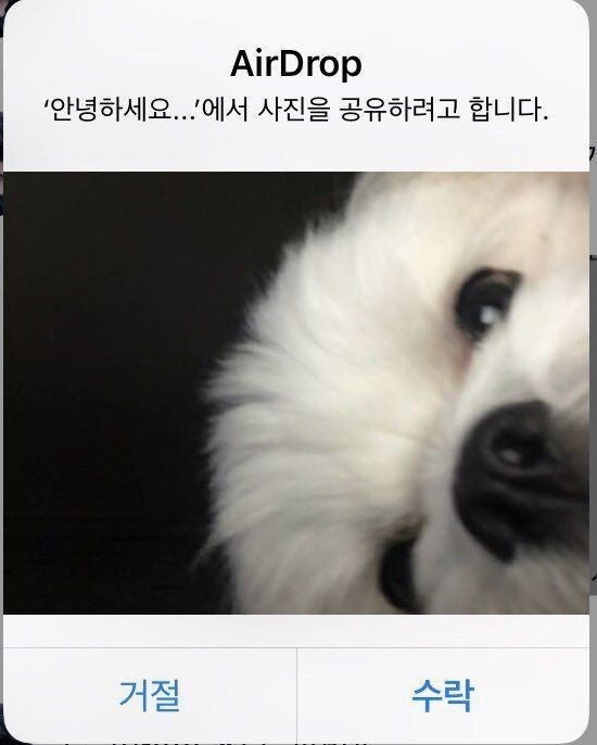 성수아베크뮤직아카데미학원 이미지