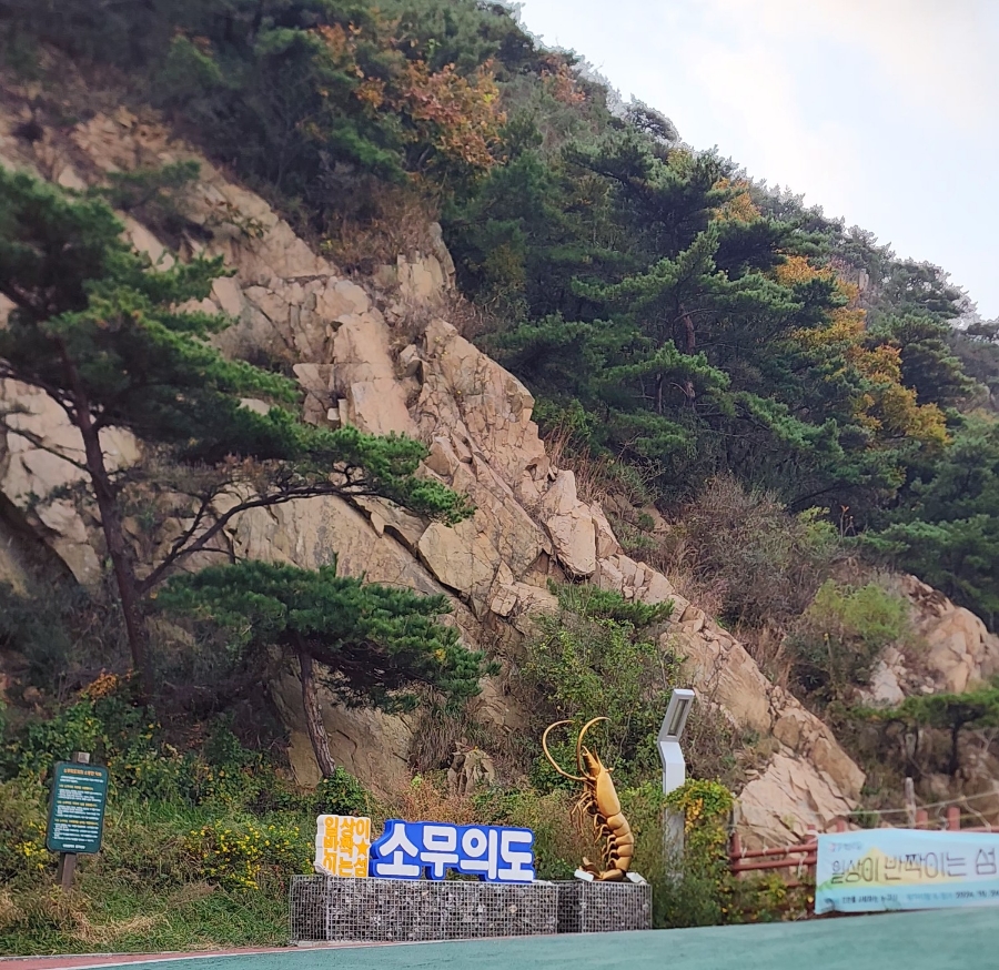 뗌리 이미지