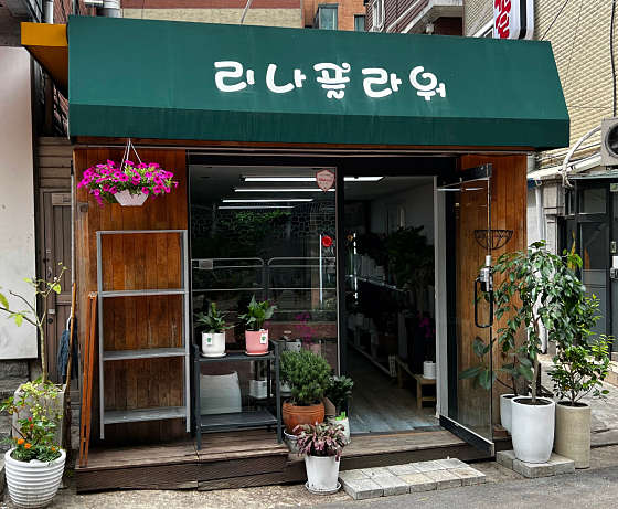 리나플라워 이미지