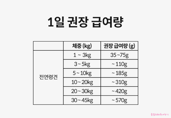 본앤조인트 이미지