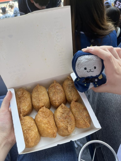 정직유부 대치점 이미지