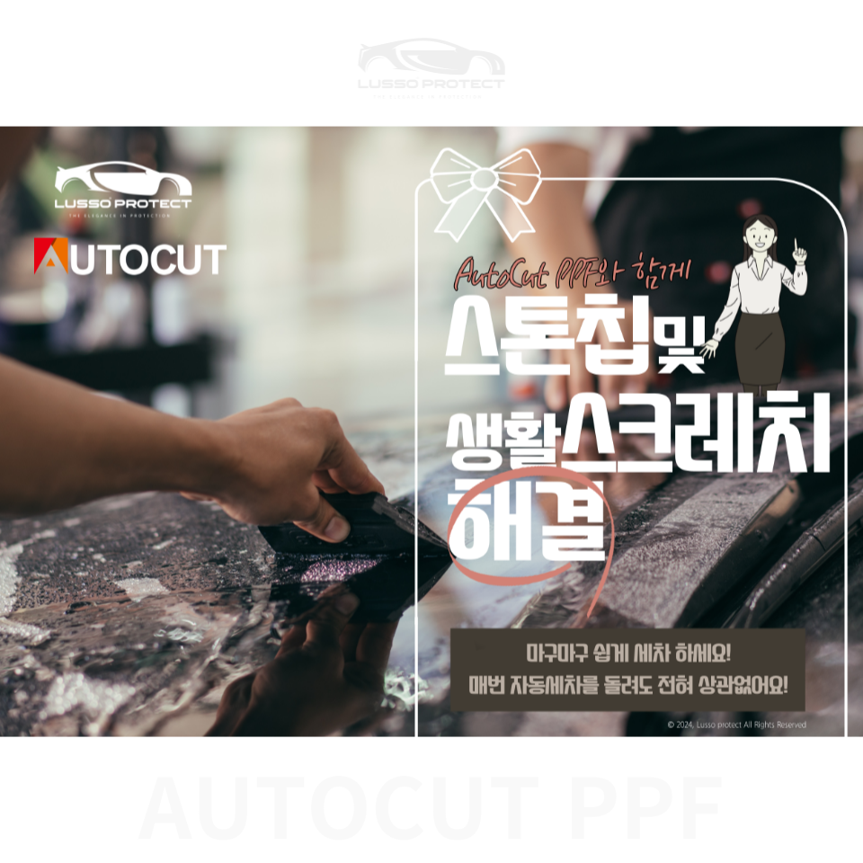 틴트오토 이미지