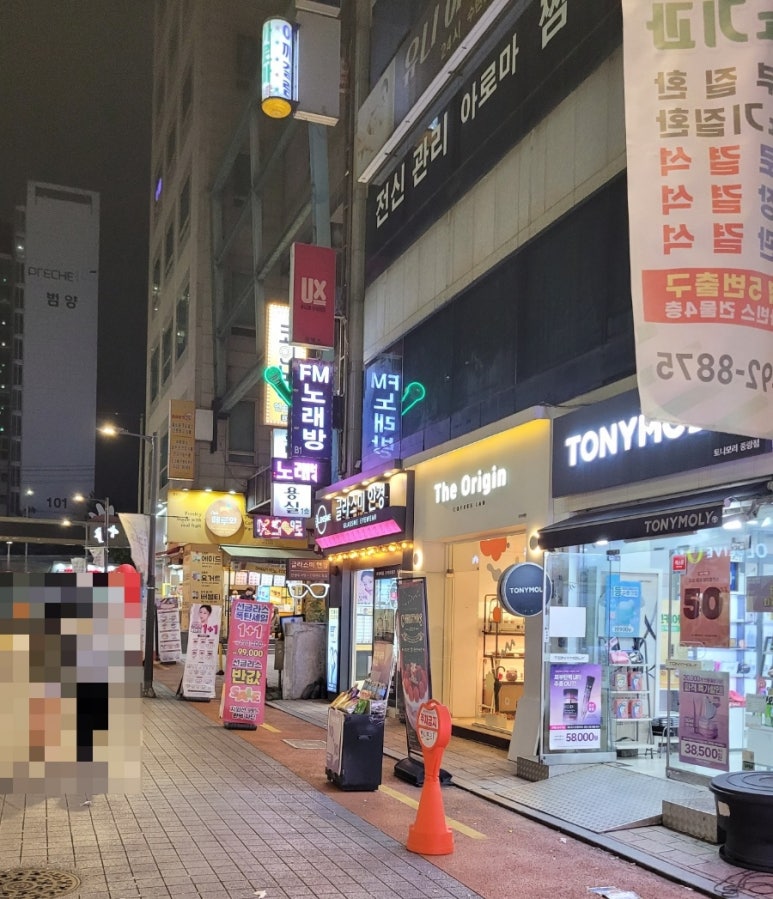 동부갈매기 이미지