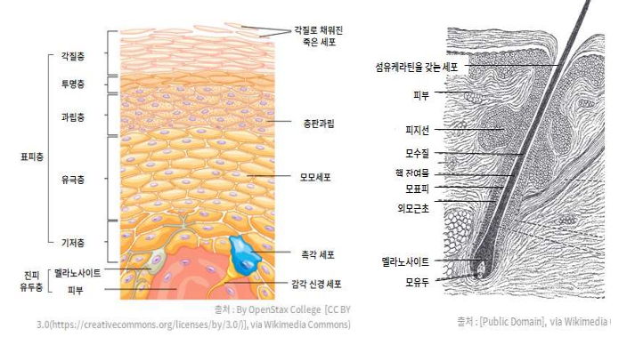 다움교육원 이미지