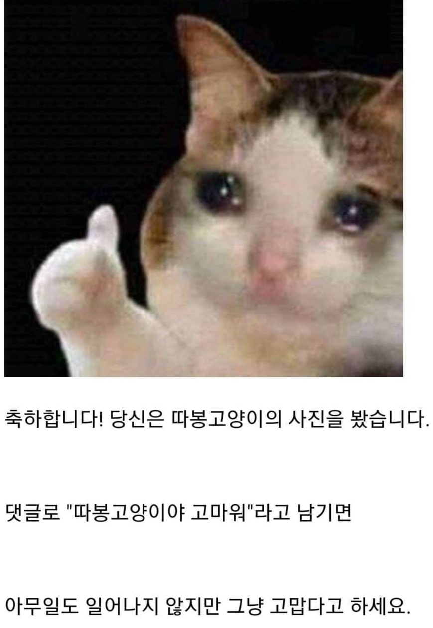 따봉 이미지