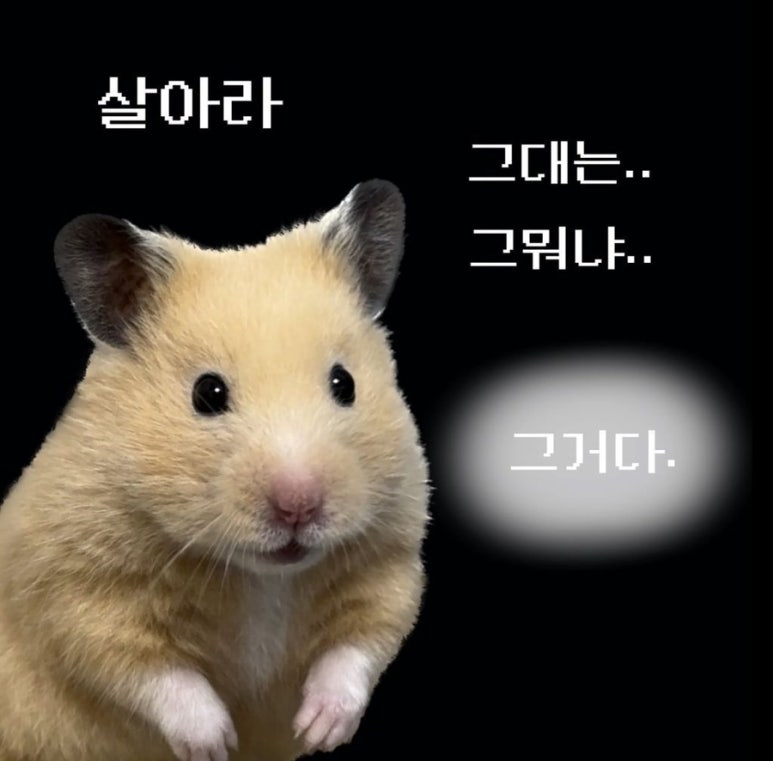 미령양꼬치 이미지