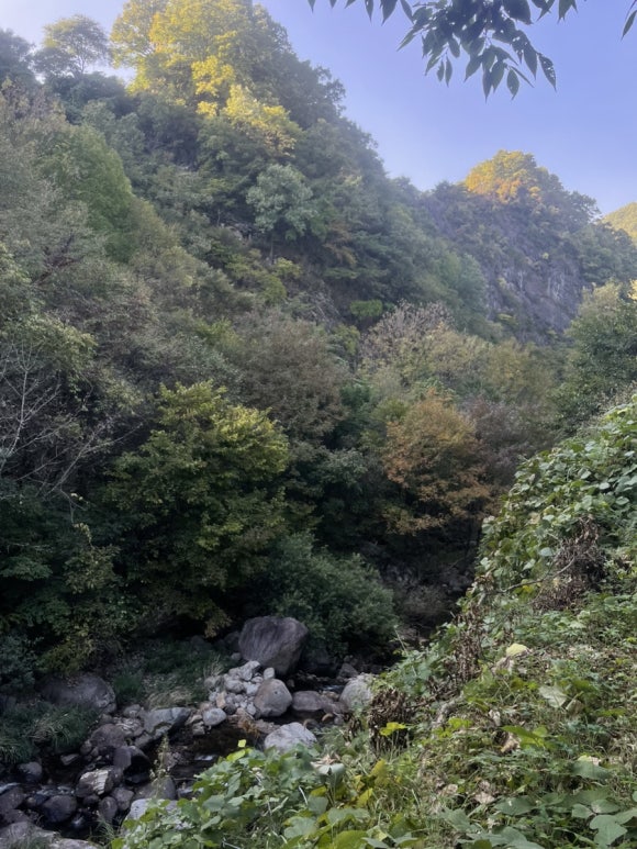 소백산국립공원 삼가천동코스 이미지