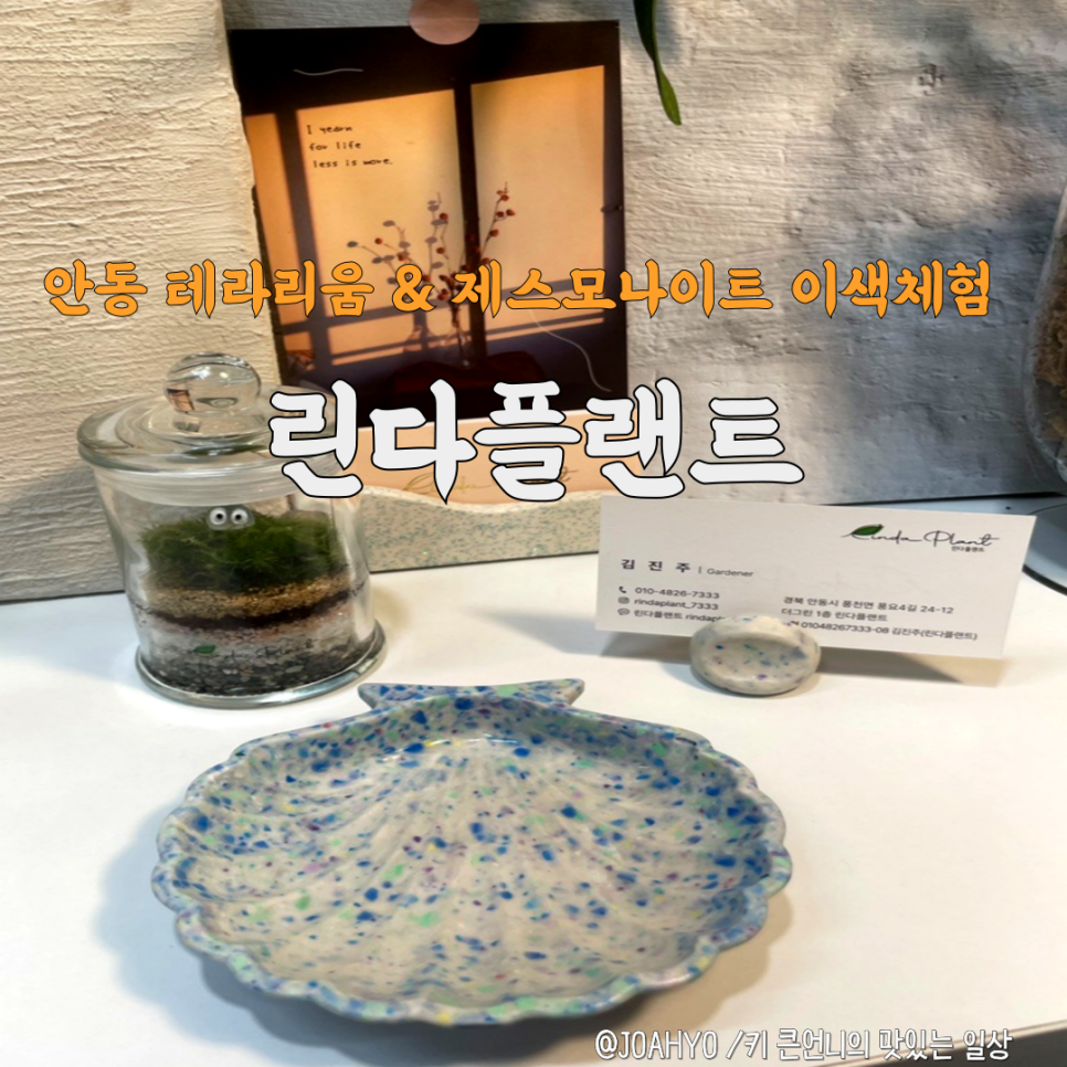 린다플랜트 이미지