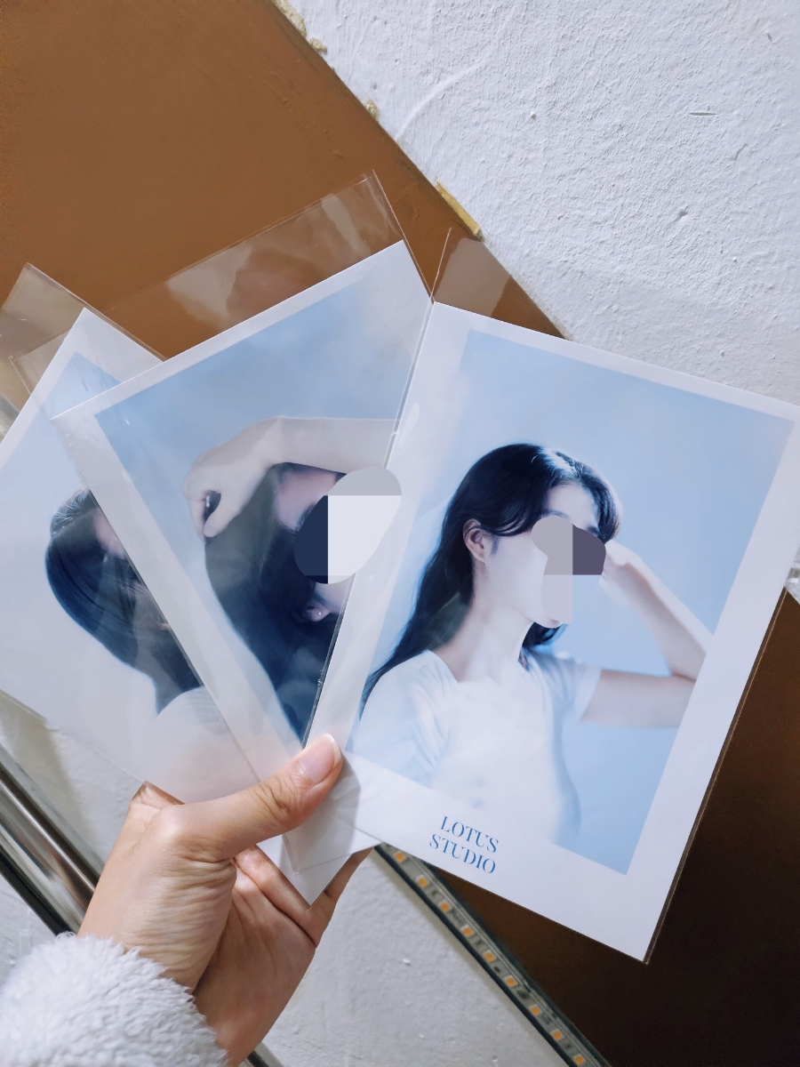 연꽃사진관 이미지