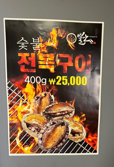 뿔난소 이미지