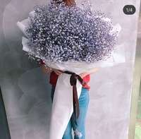 조윤주시인의꽃갤러리 이미지