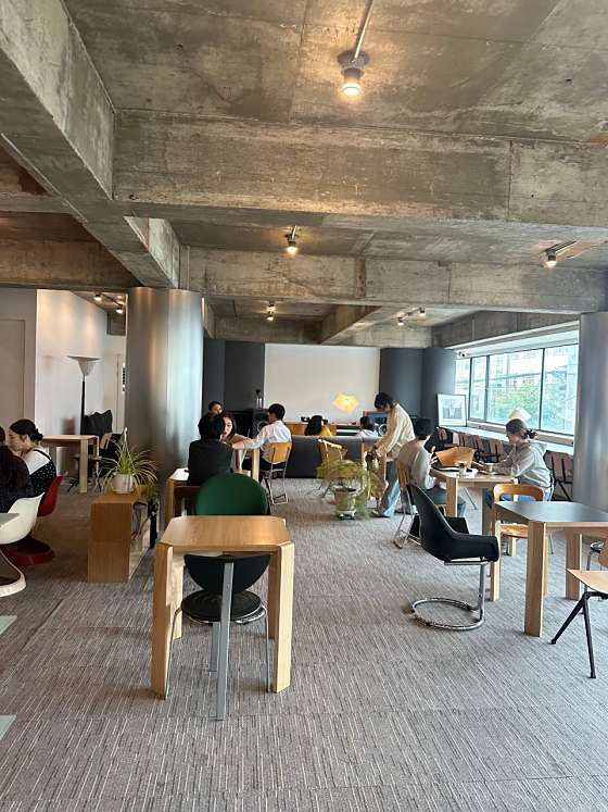 콜프로스터스 이미지