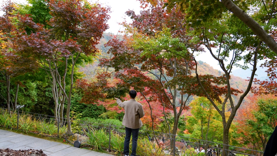 병천순대 광주식당 이미지