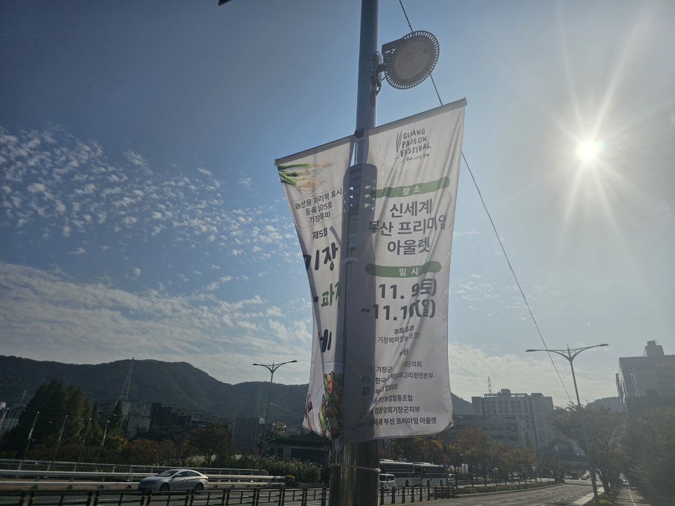 장파전 이미지