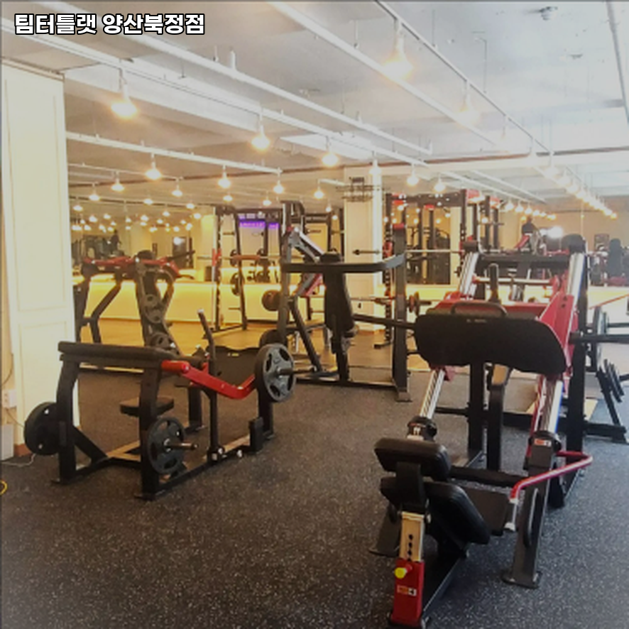 팀터틀랫양산북정점 이미지