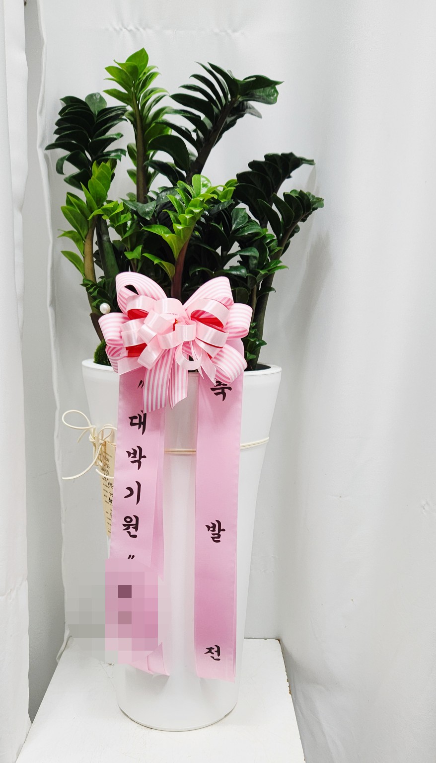식물꽃나라 이미지