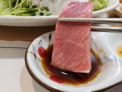 참치와사비 이미지