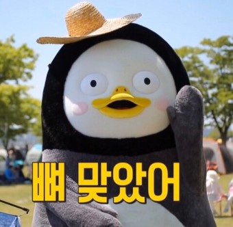 바디제이짐 이미지