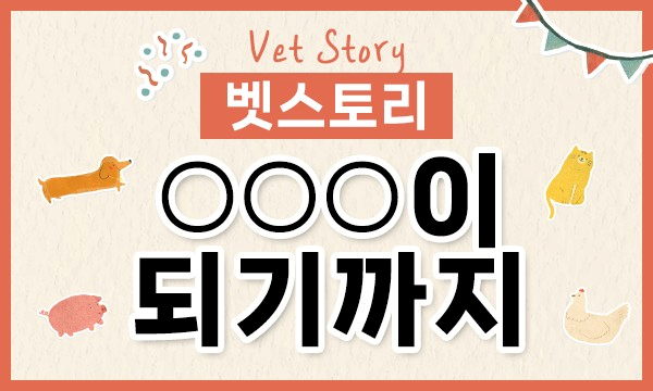 메이벳 이미지