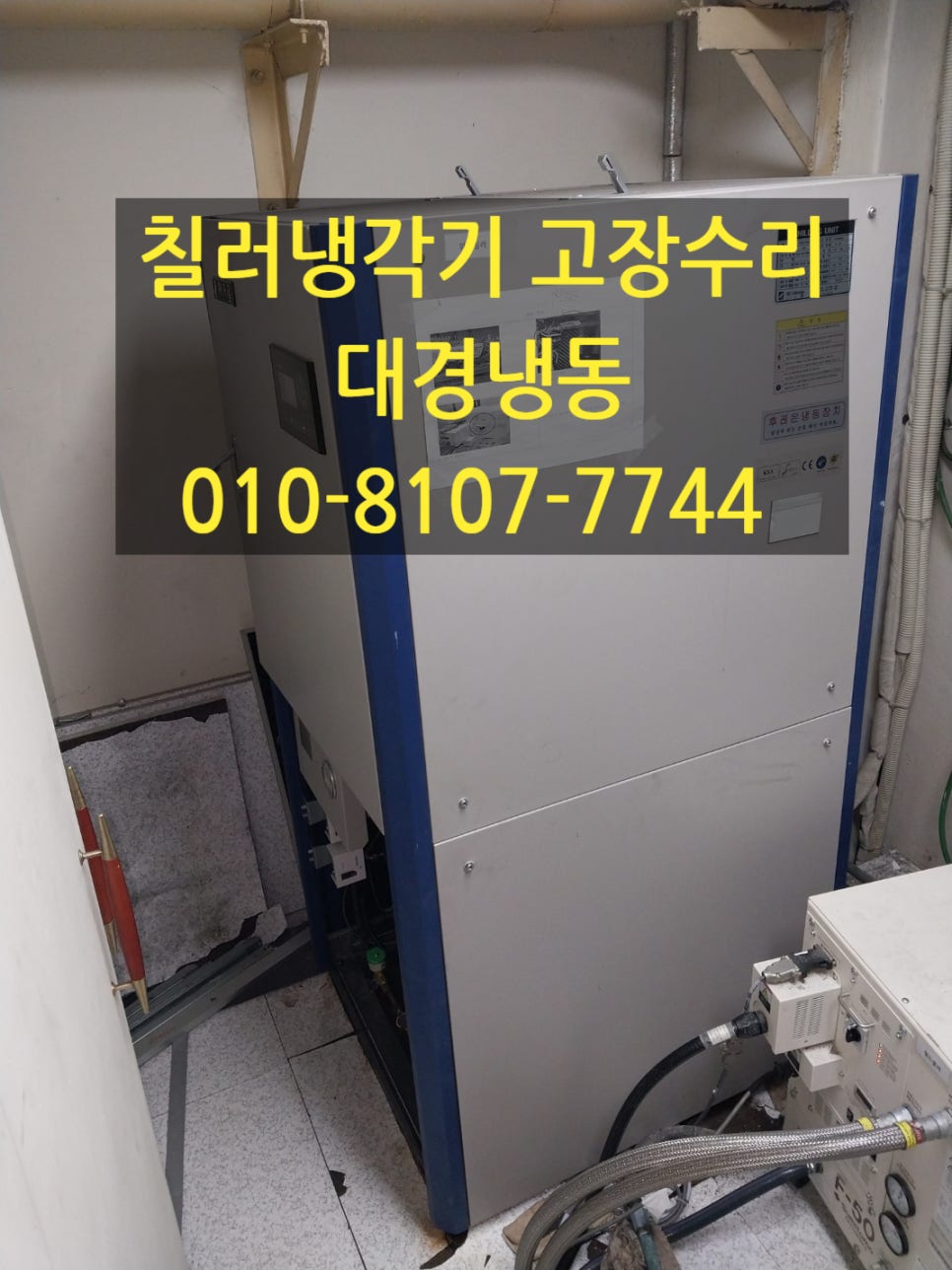 세이저온 이미지
