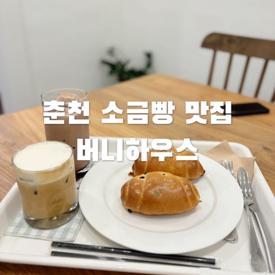 버니하우스 이미지