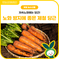 저속노화에는 당근🥕♬ 항산화 듬뿍 당근🥕! 바로가기