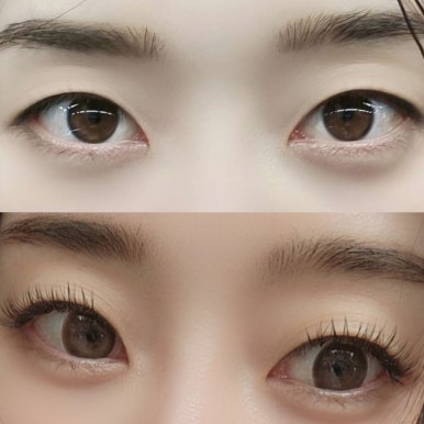 글로니샵 이미지