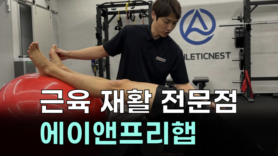 에이앤프리햅 이미지