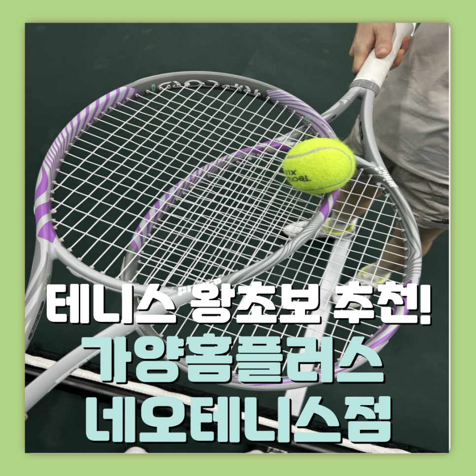 네오테니스 이미지