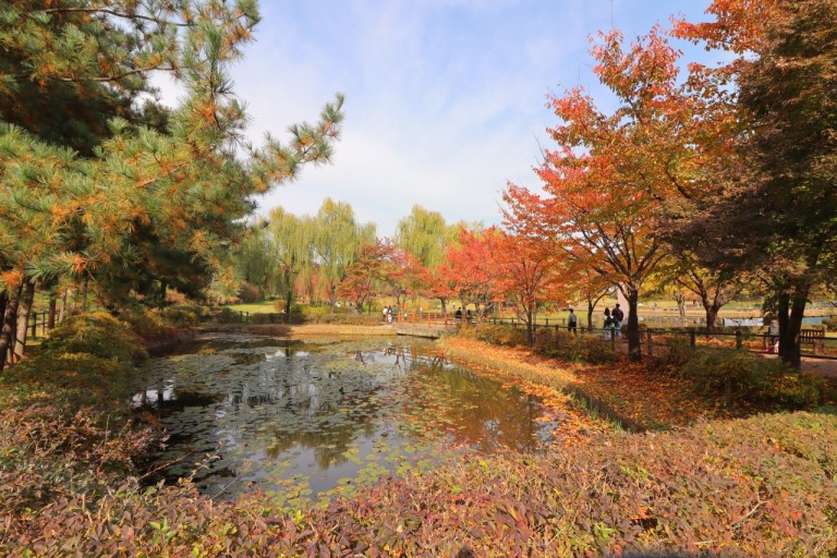 청수목욕탕 이미지