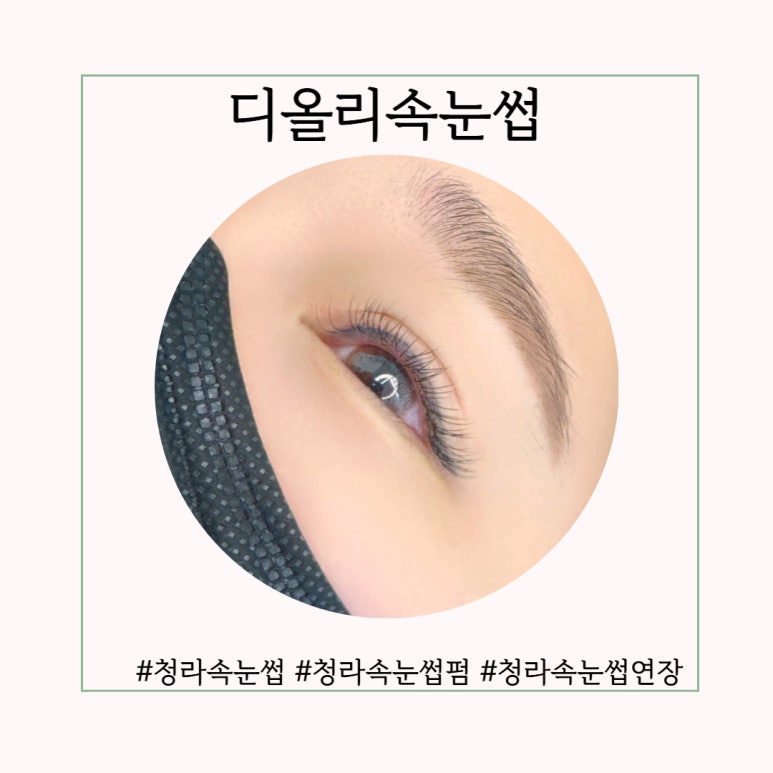 디올리 이미지