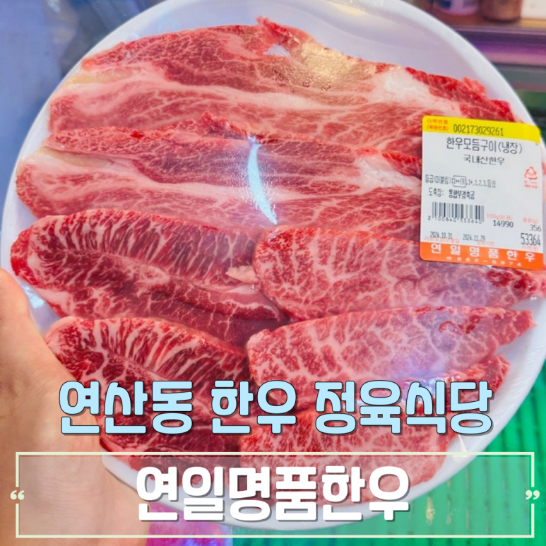 연일명품한우 이미지