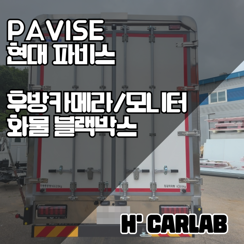 파비스온 이미지