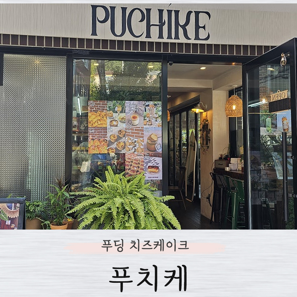 푸치케 이미지