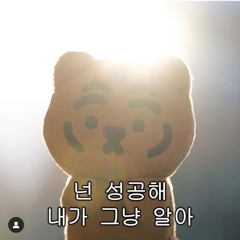 장미문고 이미지