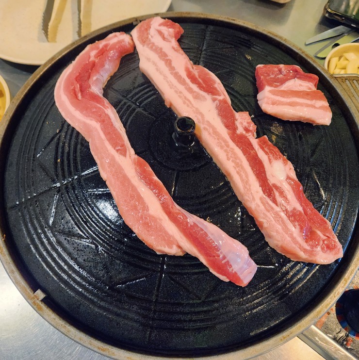 고굽마 이미지