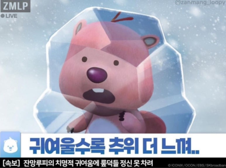 세미헤어 이미지