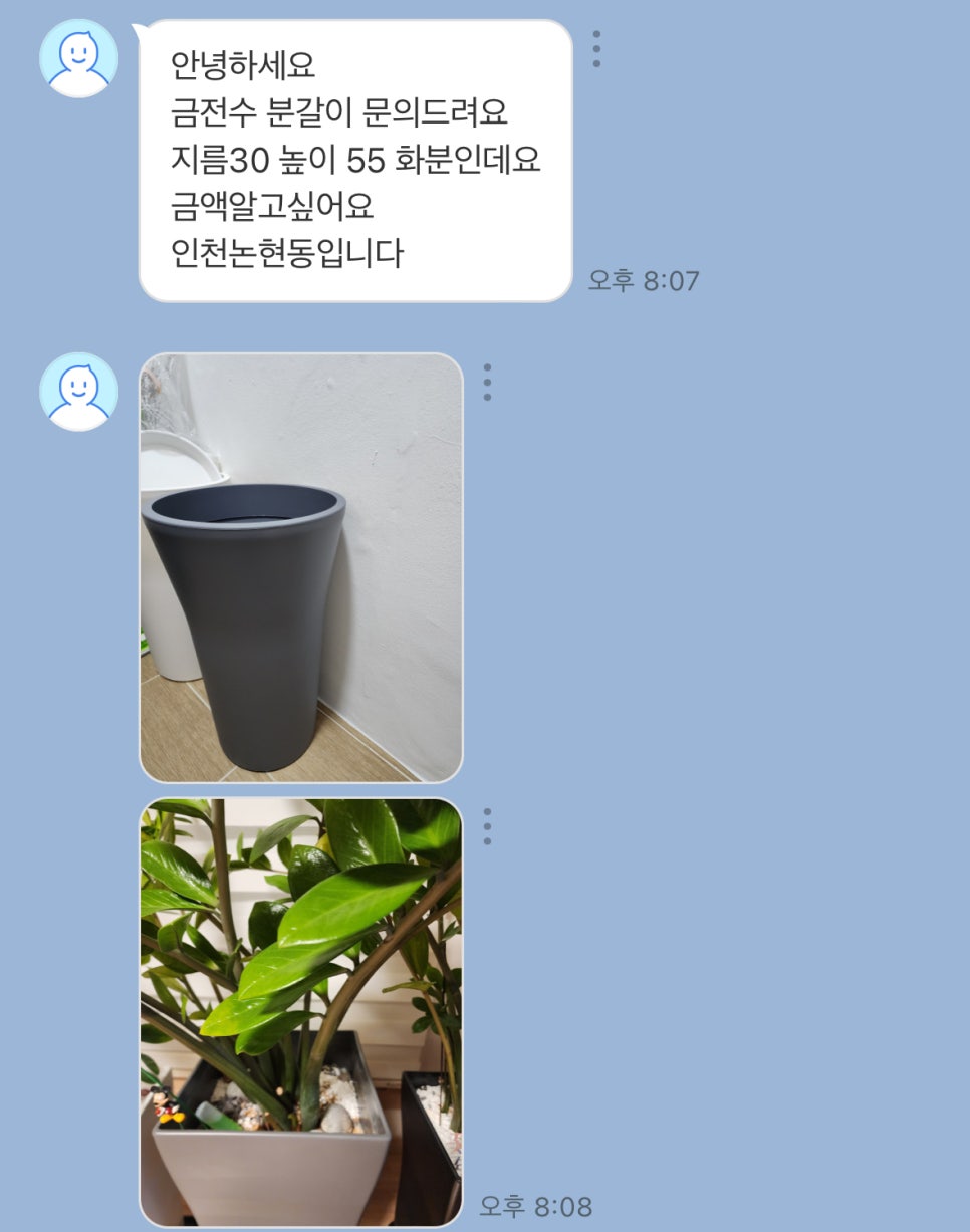 풀애 이미지
