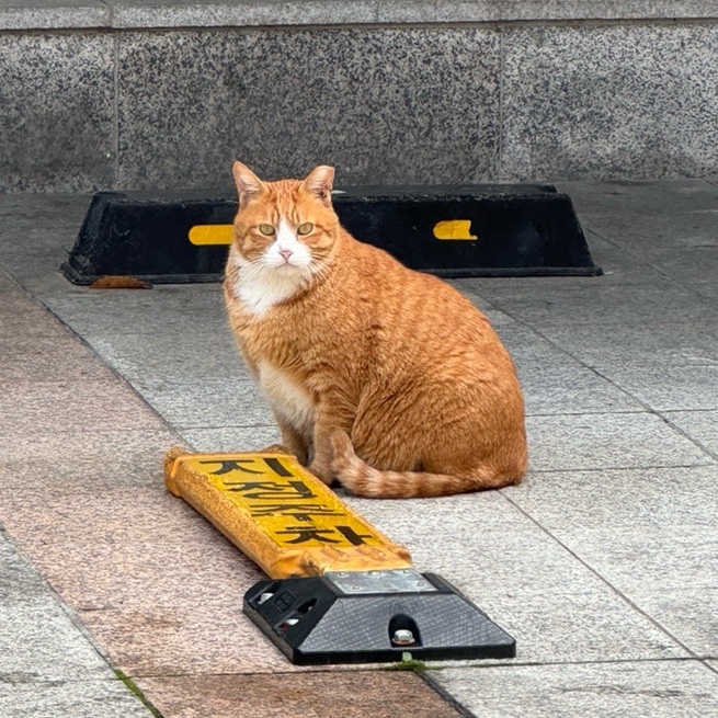 카페유 이미지